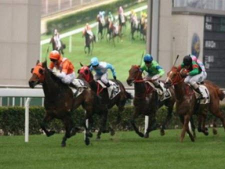 影像回放及仲裁系統